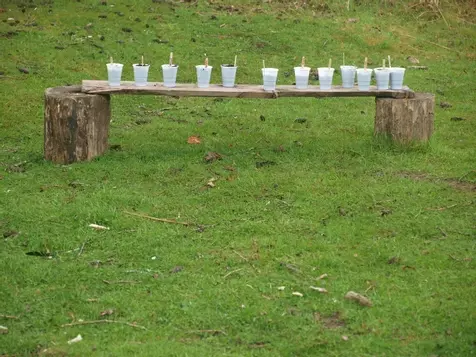 12 plastic plant pots, sitting on a plank!